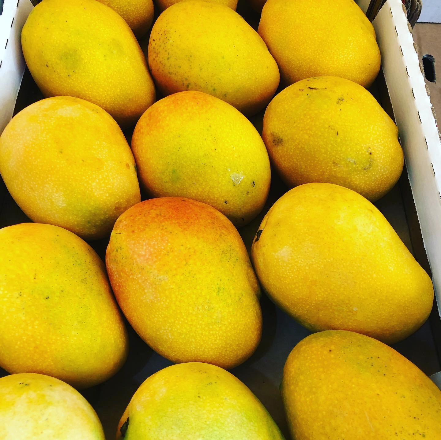 WhatsApp Image 2020-07-29 at 11.16.46 AM.jpeg.jpeg